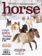 Horse-Illustrated November 01, 2020 Issue Cover
