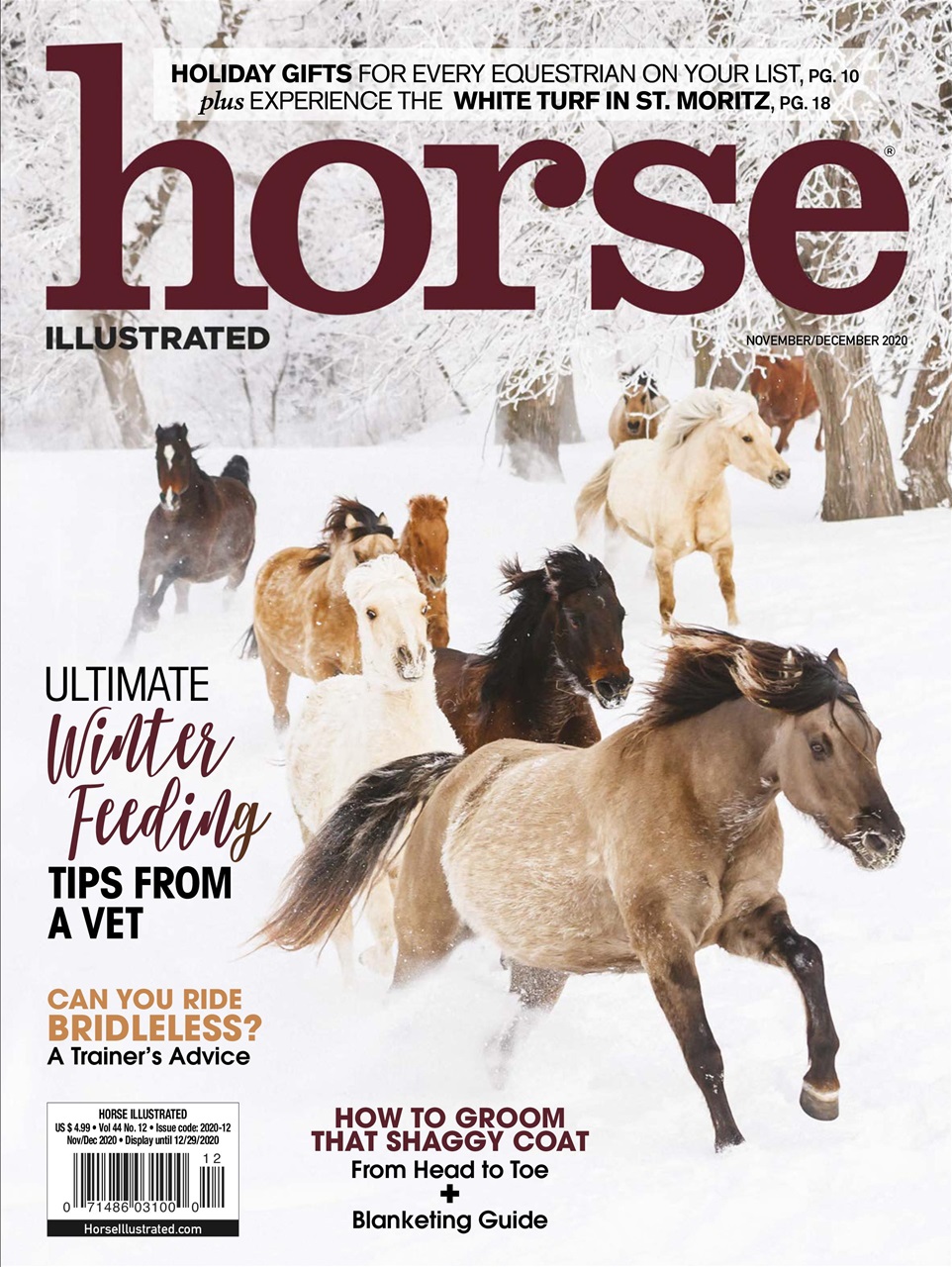 Horse-Illustrated November 01, 2020 Issue Cover