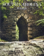 South-Carolina-Wildlife September 01, 2020 Issue Cover