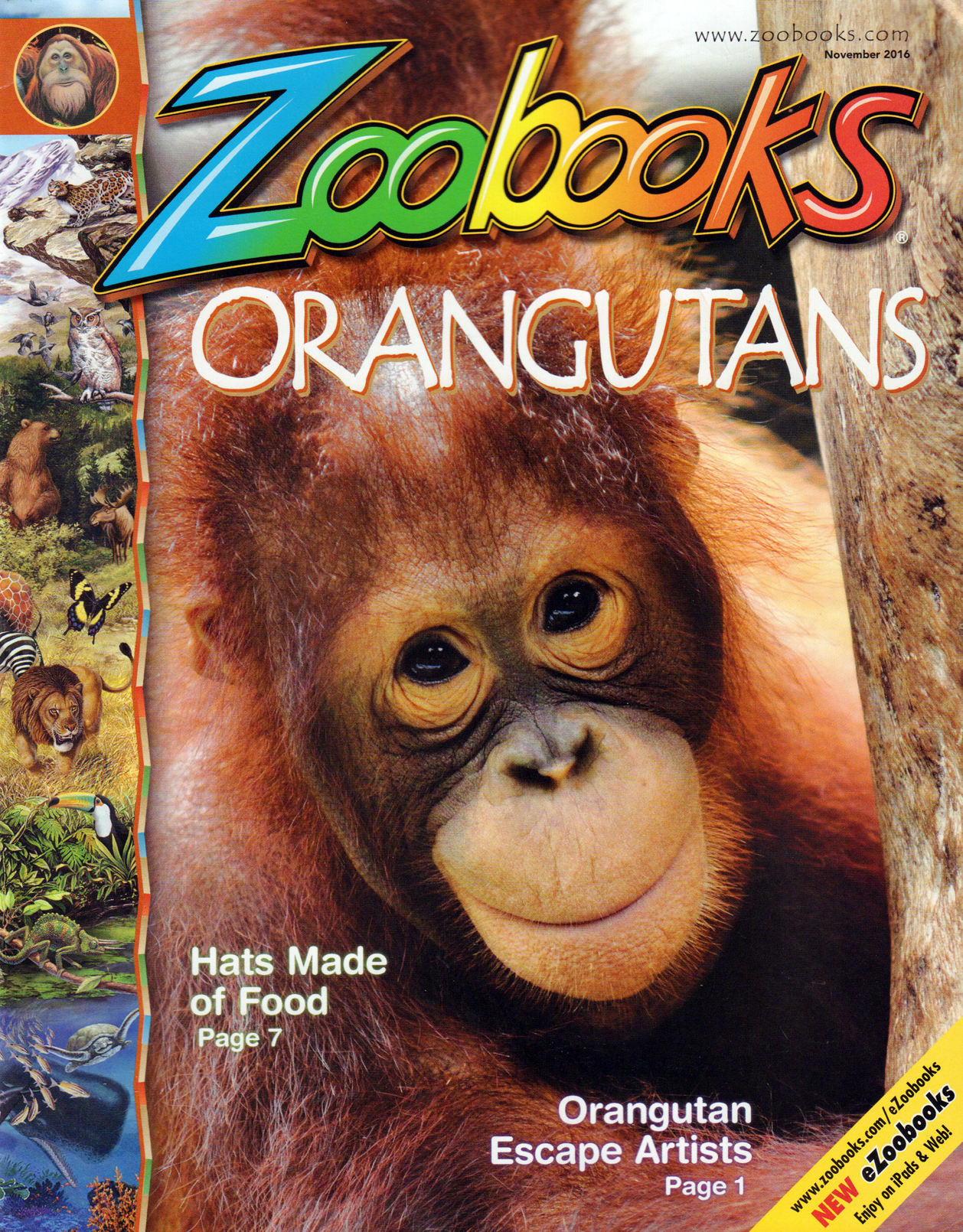 zoobooks November 01, 2016 Issue Cover