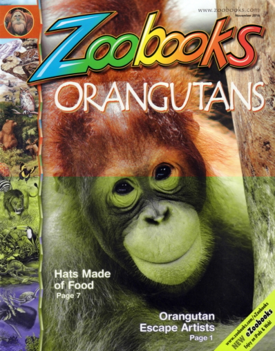 Zoobooks November 01, 2016 Issue Cover