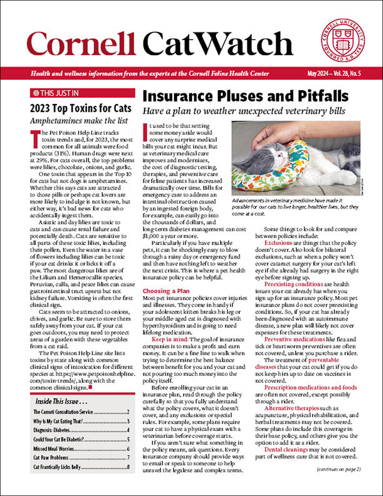 Catwatch May 01, 2024 Issue Cover