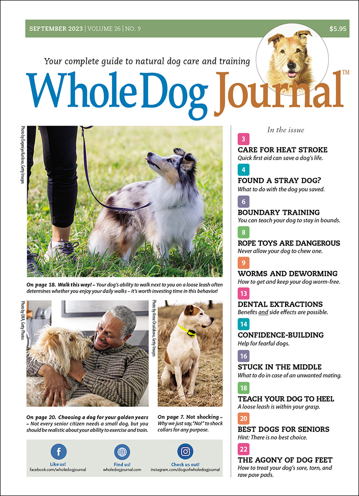 Whole Dog Journal Subscription