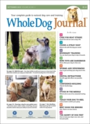 Whole Dog Journal September 01, 2023 Issue Cover