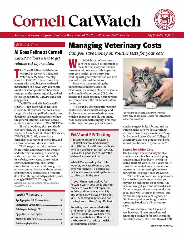 Catwatch July 01, 2024 Issue Cover