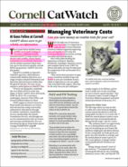 Catwatch July 01, 2024 Issue Cover