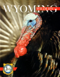 Wyoming-Wildlife May 01, 2021 Issue Cover