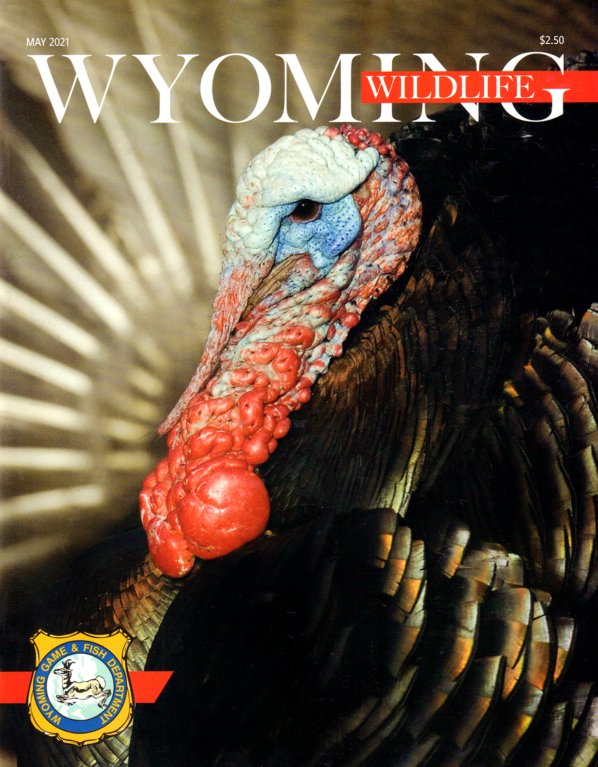 Wyoming-Wildlife May 01, 2021 Issue Cover
