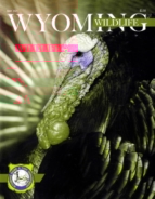 Wyoming-Wildlife May 01, 2021 Issue Cover