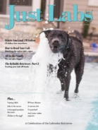 Just-Labs July 01, 2023 Issue Cover