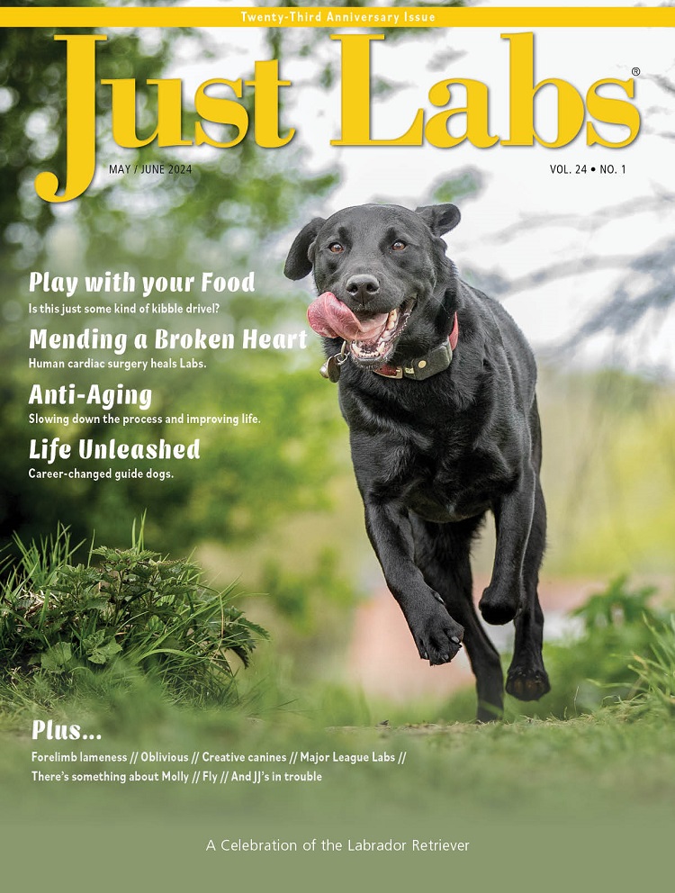 Just Labs May 01, 2024 Issue Cover
