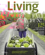 Martha-Stewart-Living October 01, 2017 Issue Cover