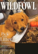 Wildfowl April 01, 2011 Issue Cover