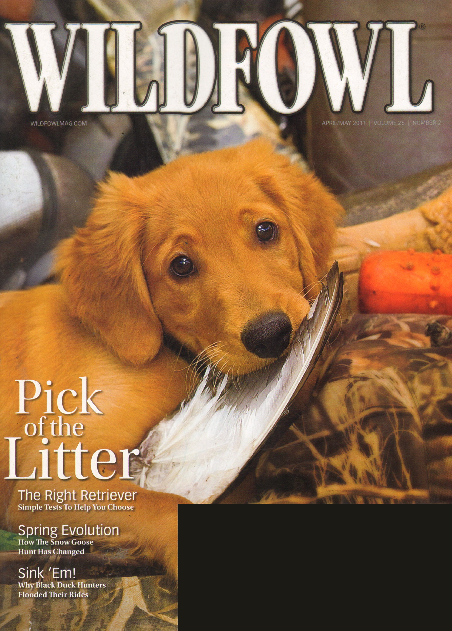 Wildfowl April 01, 2011 Issue Cover