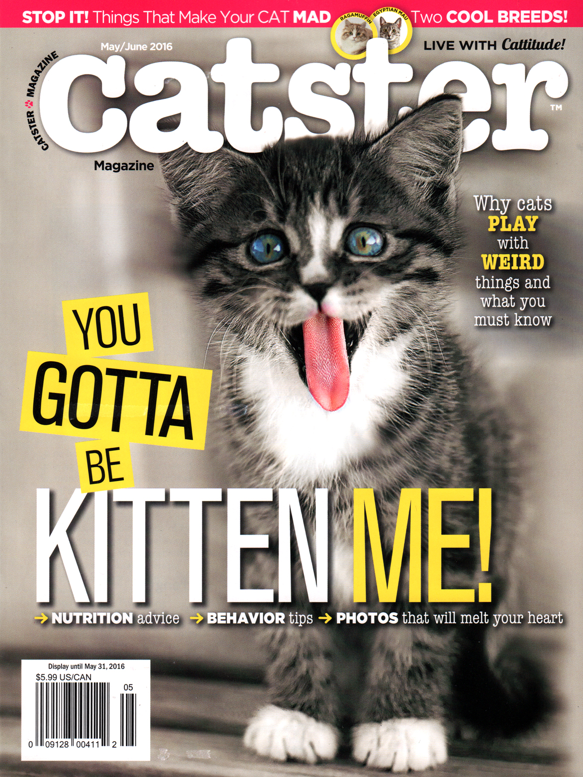Catster May 01, 2016 Issue Cover