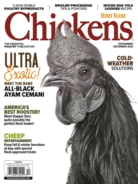 Chickens November 01, 2021 Issue Cover