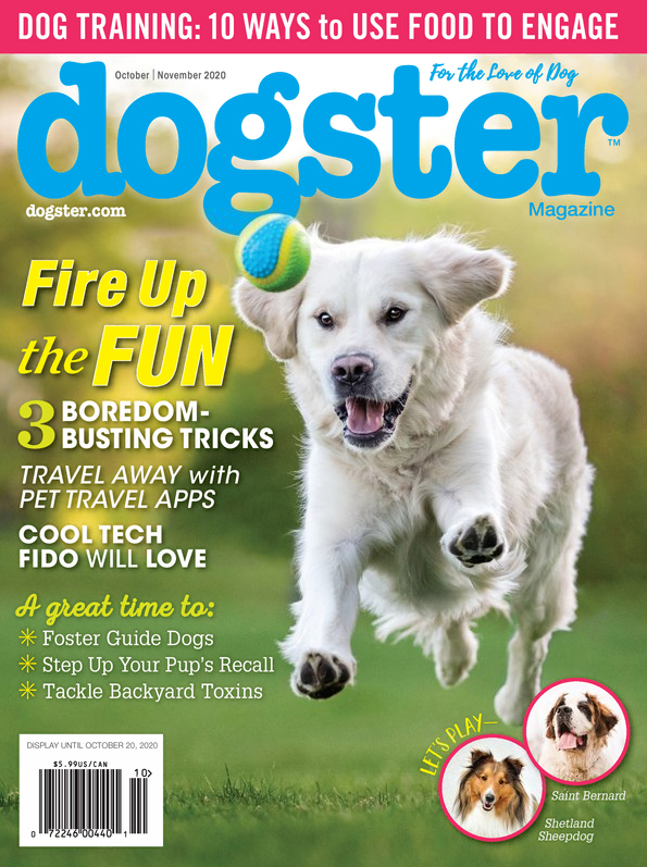 Dogster October 01, 2020 Issue Cover