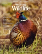Wyoming-Wildlife September 01, 2017 Issue Cover