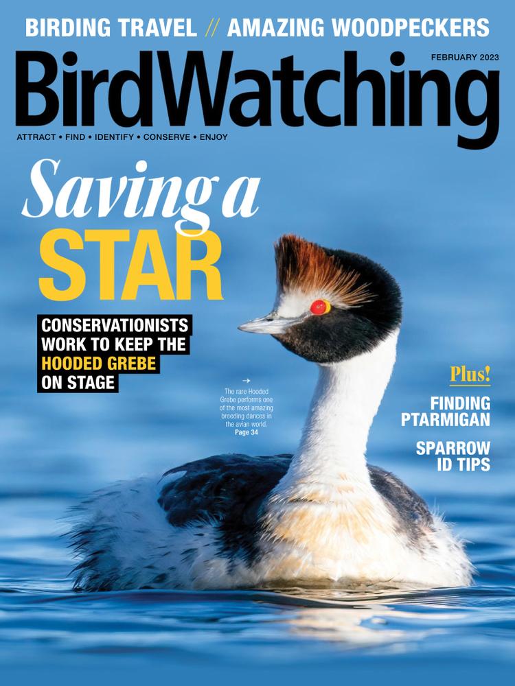 Bird-Watching February 01, 2023 Issue Cover