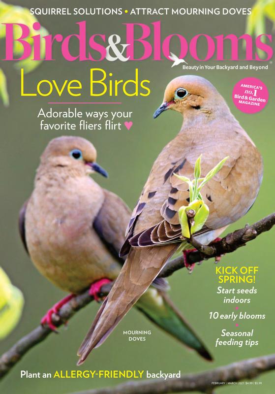 Birds-and-Blooms February 01, 2021 Issue Cover