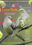 Birds-and-Blooms February 01, 2021 Issue Cover