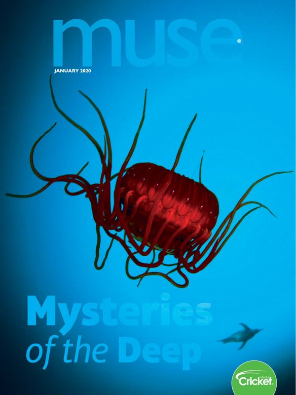 Muse January 01, 2020 Issue Cover