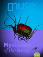 Muse January 01, 2020 Issue Cover
