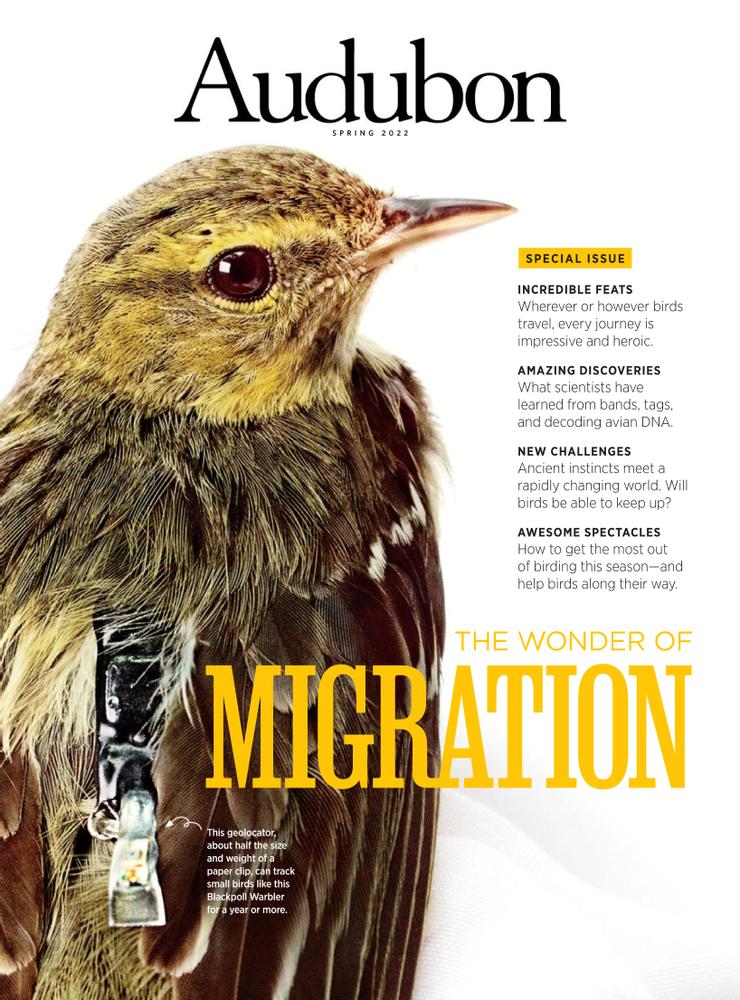 Audubon March 01, 2022 Issue Cover