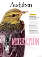 Audubon March 01, 2022 Issue Cover
