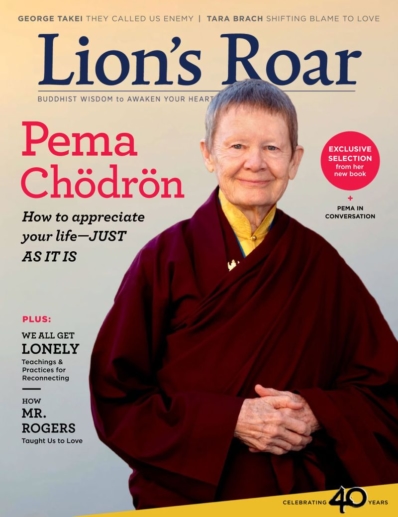 Lion's Roar November 01, 2019 Issue Cover