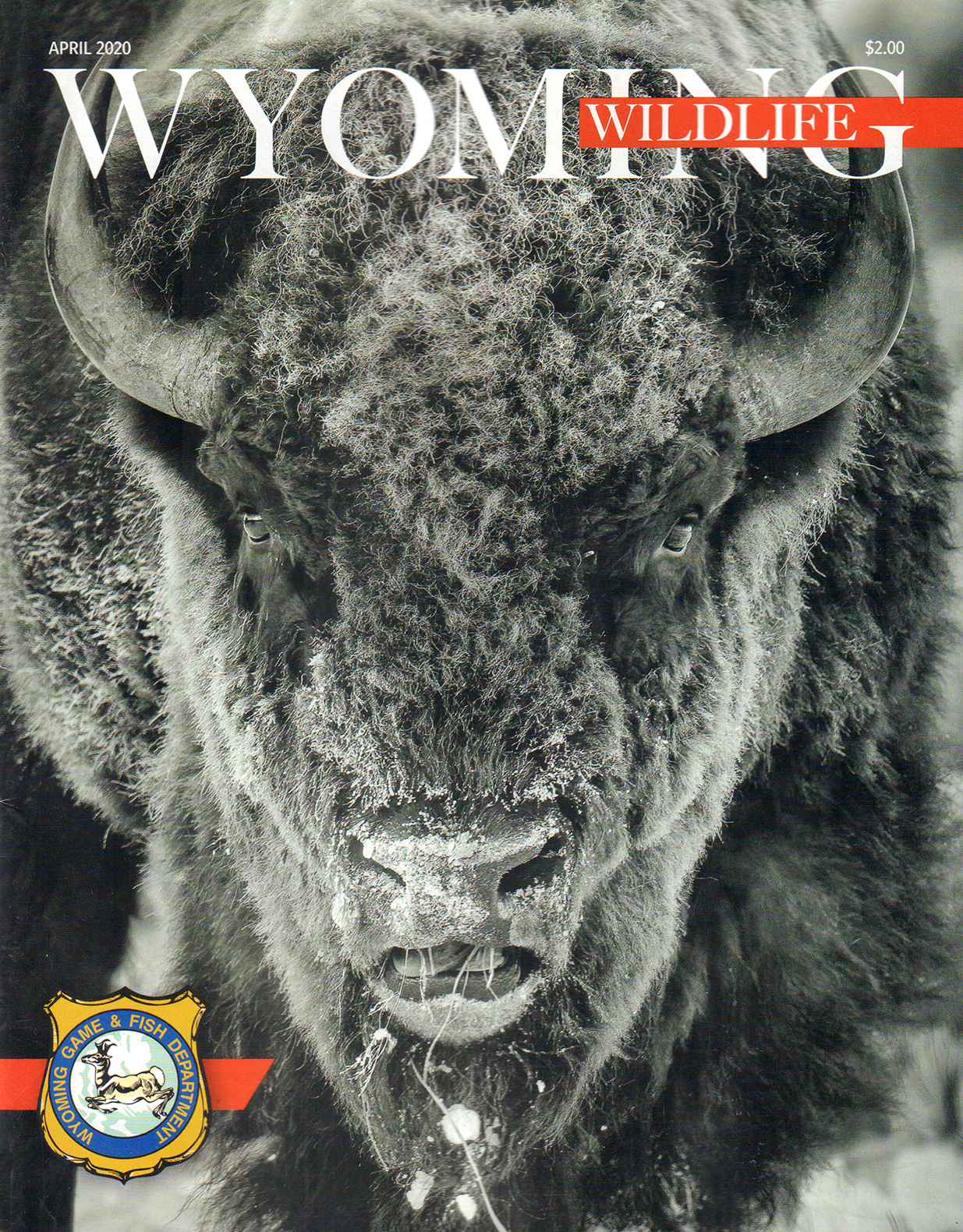 Wyoming-Wildlife April 01, 2020 Issue Cover