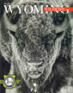 Wyoming-Wildlife April 01, 2020 Issue Cover