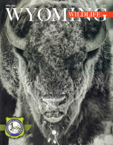 Wyoming Wildlife April 01, 2020 Issue Cover