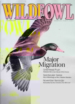 Wildfowl November 01, 2010 Issue Cover