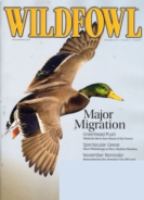 Wildfowl November 01, 2010 Issue Cover