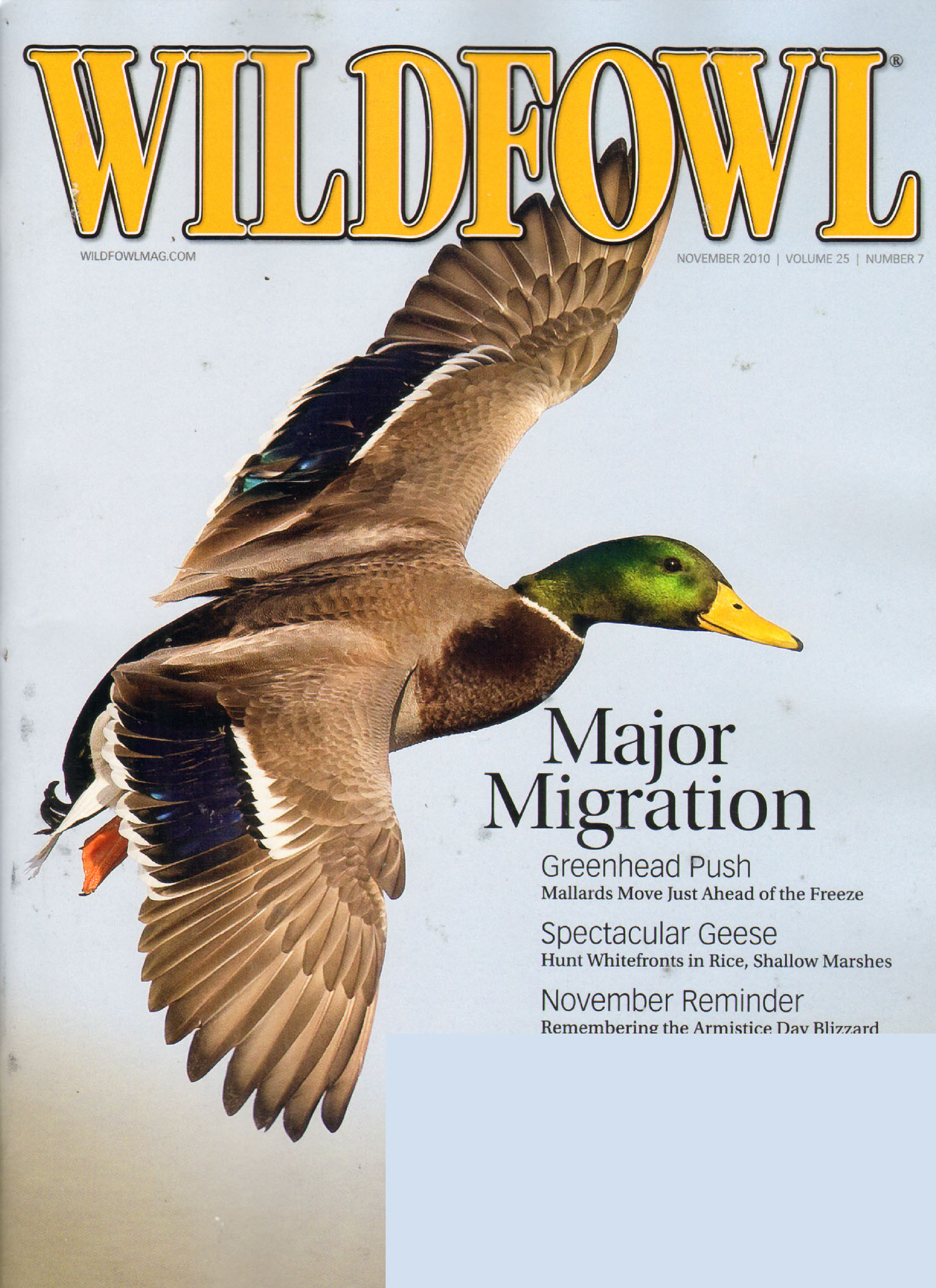 Wildfowl November 01, 2010 Issue Cover