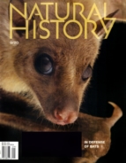 Natural-History September 01, 2020 Issue Cover
