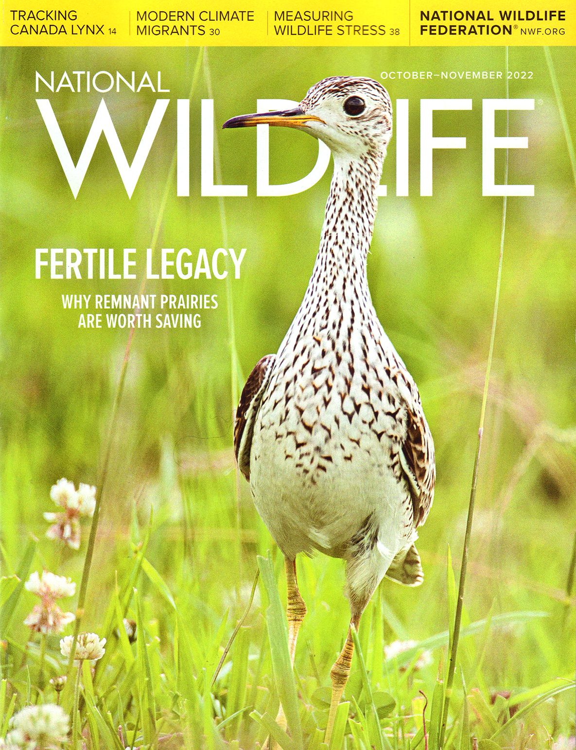 National-Wildlife October 01, 2022 Issue Cover