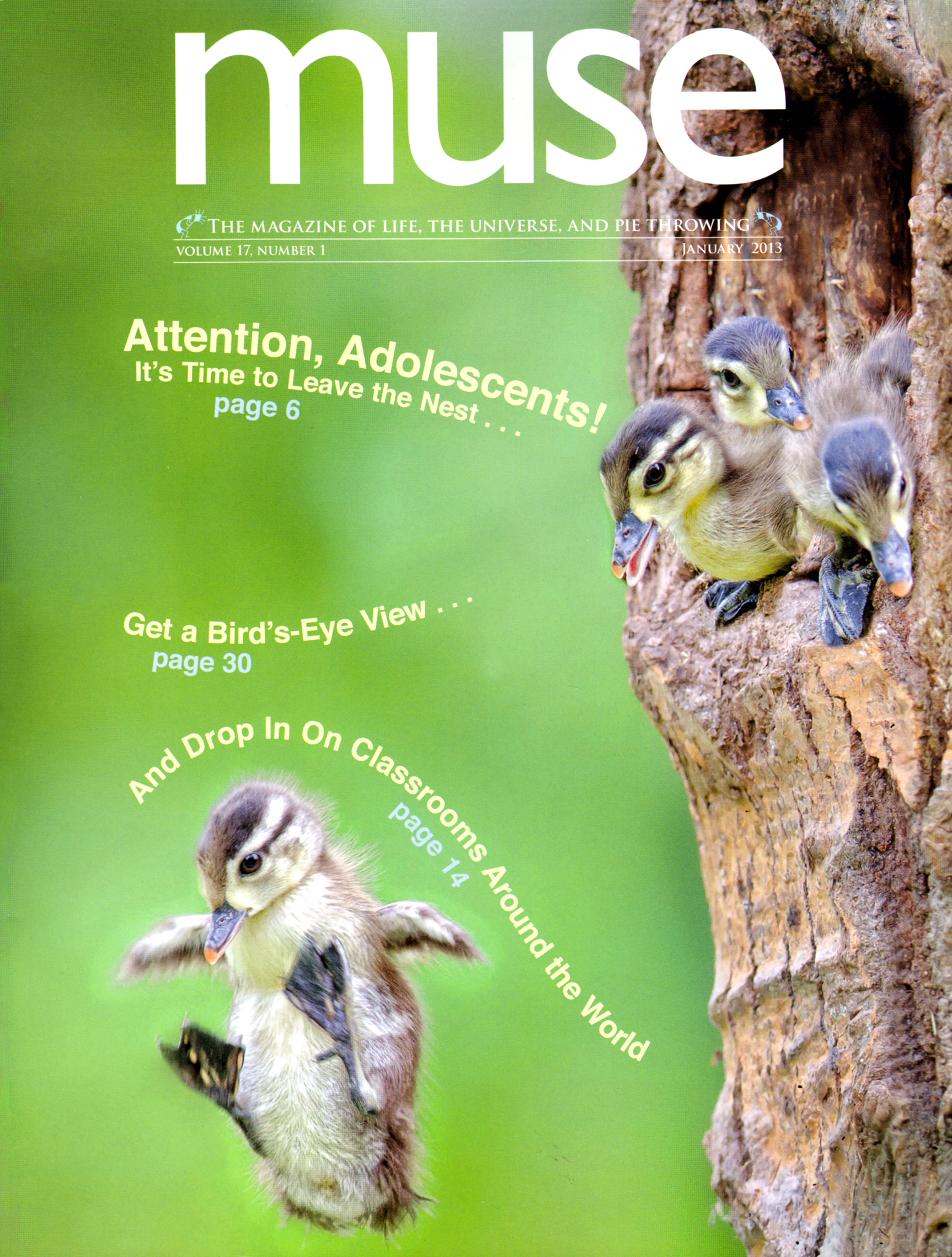 muse January 01, 2013 Issue Cover