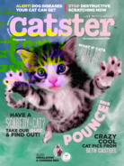 Catster November 01, 2016 Issue Cover