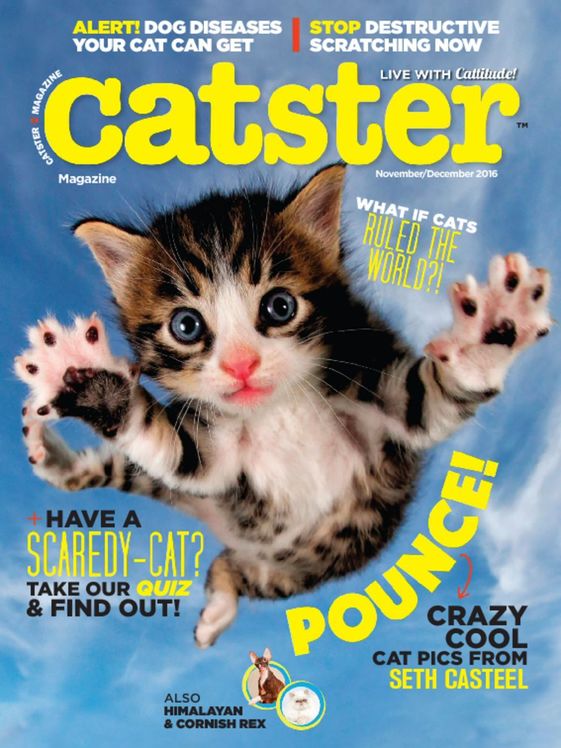 Catster November 01, 2016 Issue Cover