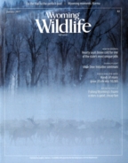 Wyoming-Wildlife January 01, 2017 Issue Cover