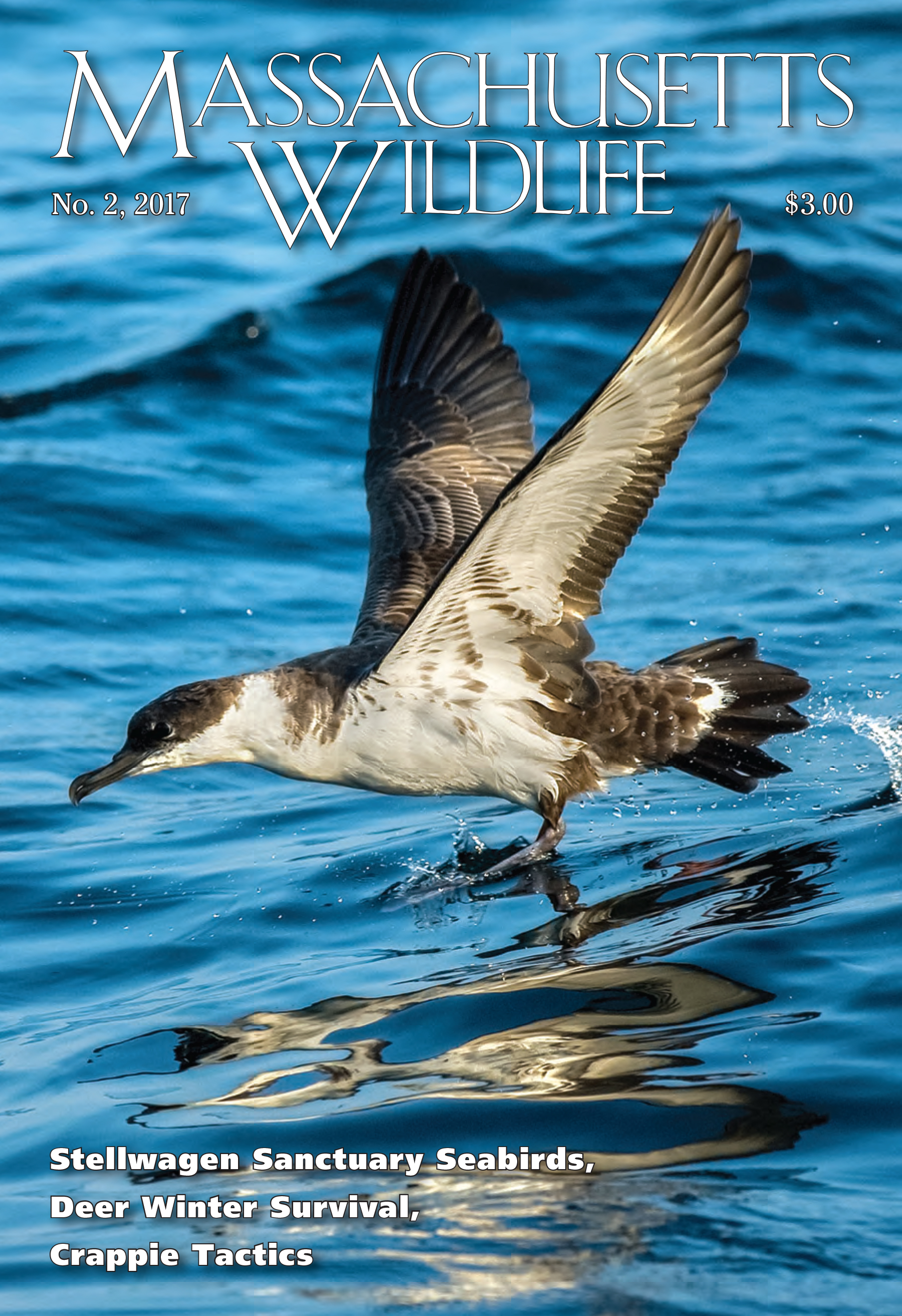 Massachusetts-Wildlife June 01, 2017 Issue Cover