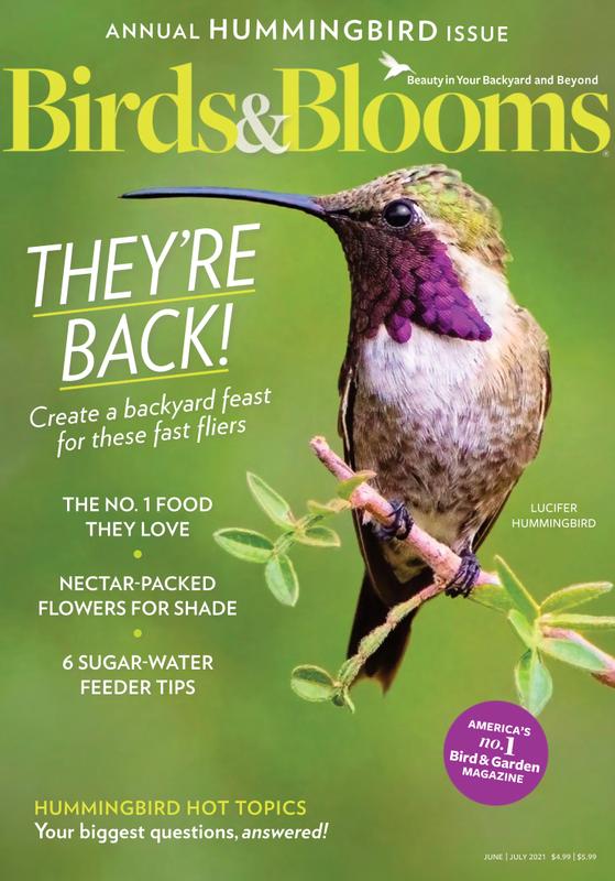 Birds-and-Blooms June 01, 2021 Issue Cover