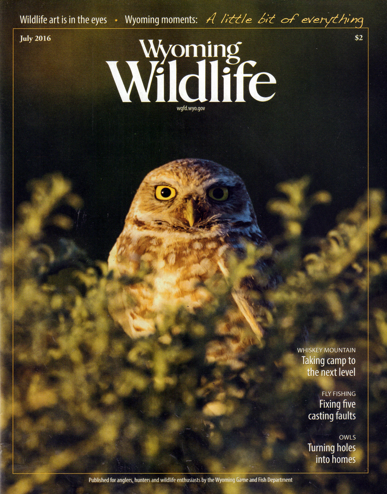 Wyoming-Wildlife July 01, 2016 Issue Cover