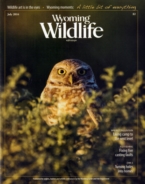 Wyoming-Wildlife July 01, 2016 Issue Cover