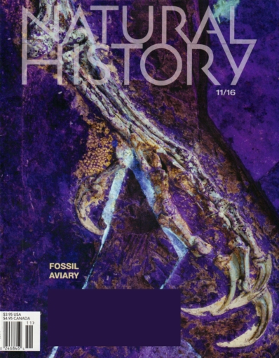 Natural History November 01, 2016 Issue Cover