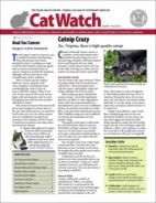 Catwatch July 01, 2019 Issue Cover