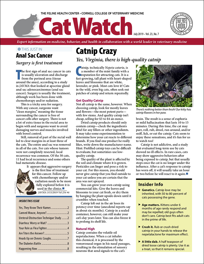 Catwatch July 01, 2019 Issue Cover