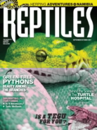Reptiles September 01, 2017 Issue Cover